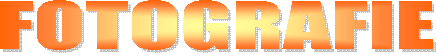 PROGRAMMA
