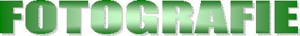 PROGRAMMA
