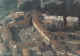 Piazza-Cavour-aerea.jpg (127957 byte)