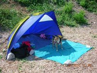 web6  Cavo - Tendina sulla spiaggia