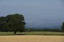 Danimarca: paesaggio (5)