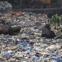 Mumbai (India) - No comment