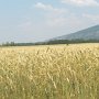 Paesaggio