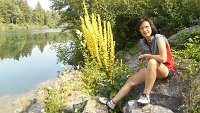 Ma poi ritorna il sole