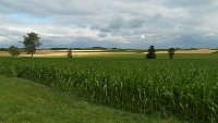Paesaggio